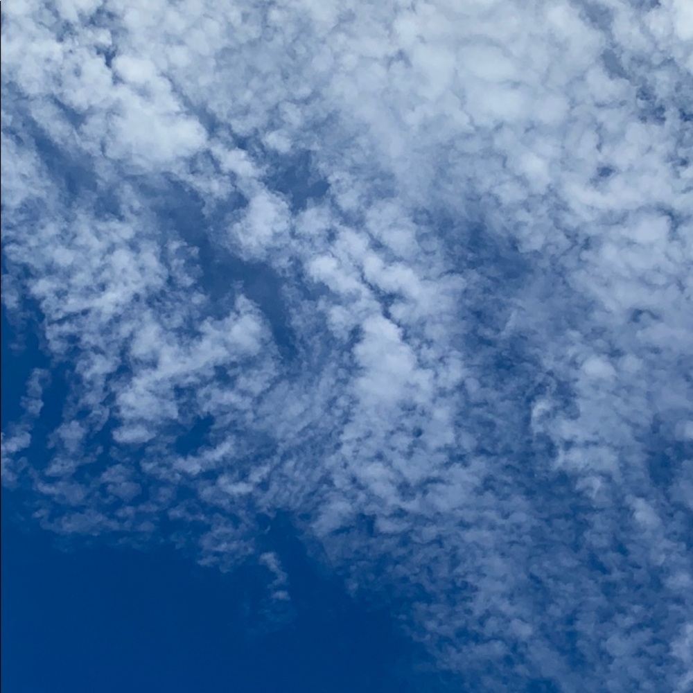 Meet your Posher, Nataly